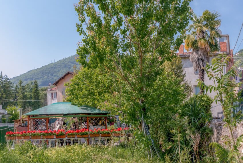 RON_8812-Pano (1)